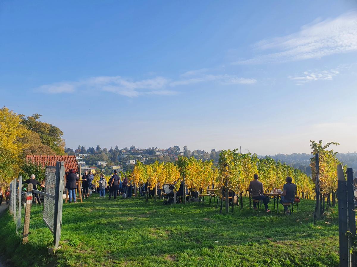 a vineyard with people gathered, likely for a wine tasting or a similar event. The photo was taken in October 2017. The location is a vineyard, possibly in a wine-producing region of Europe