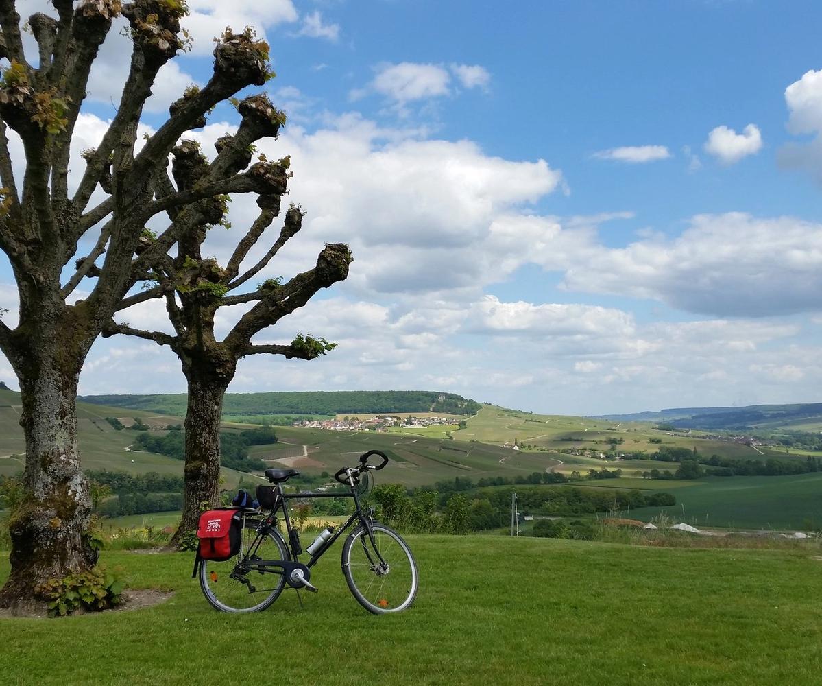 Chatillon-sur-Marne - scenic view over Marne valley