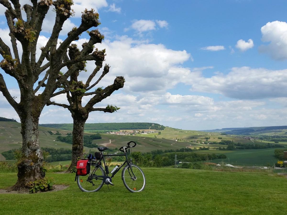 Chatillon-sur-Marne - scenic view over Marne valley