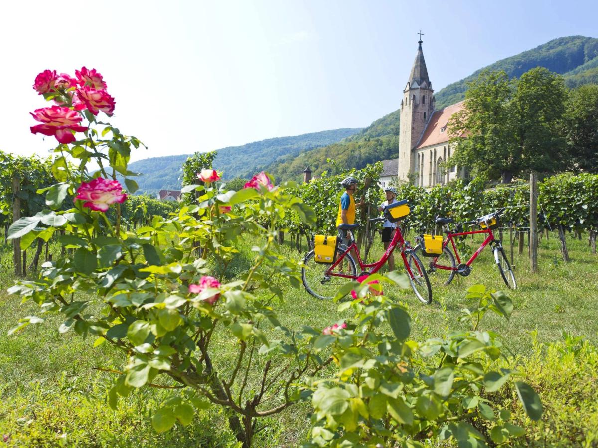 Cycling Holiday in Austria's Heartlands