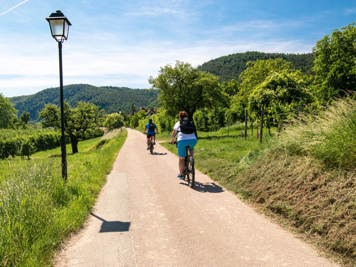 Donau Oberösterreich Danube Cycle Path