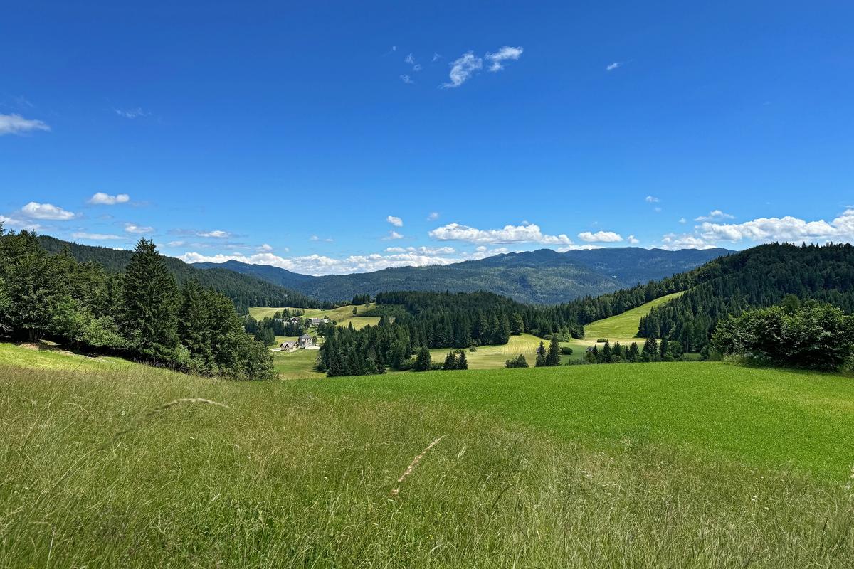 Pohorje Mountains