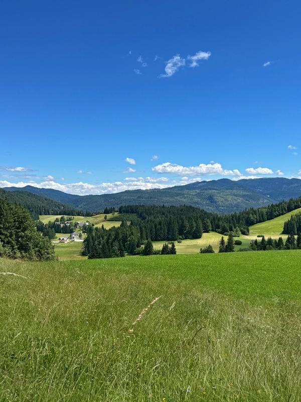 Pohorje Mountains