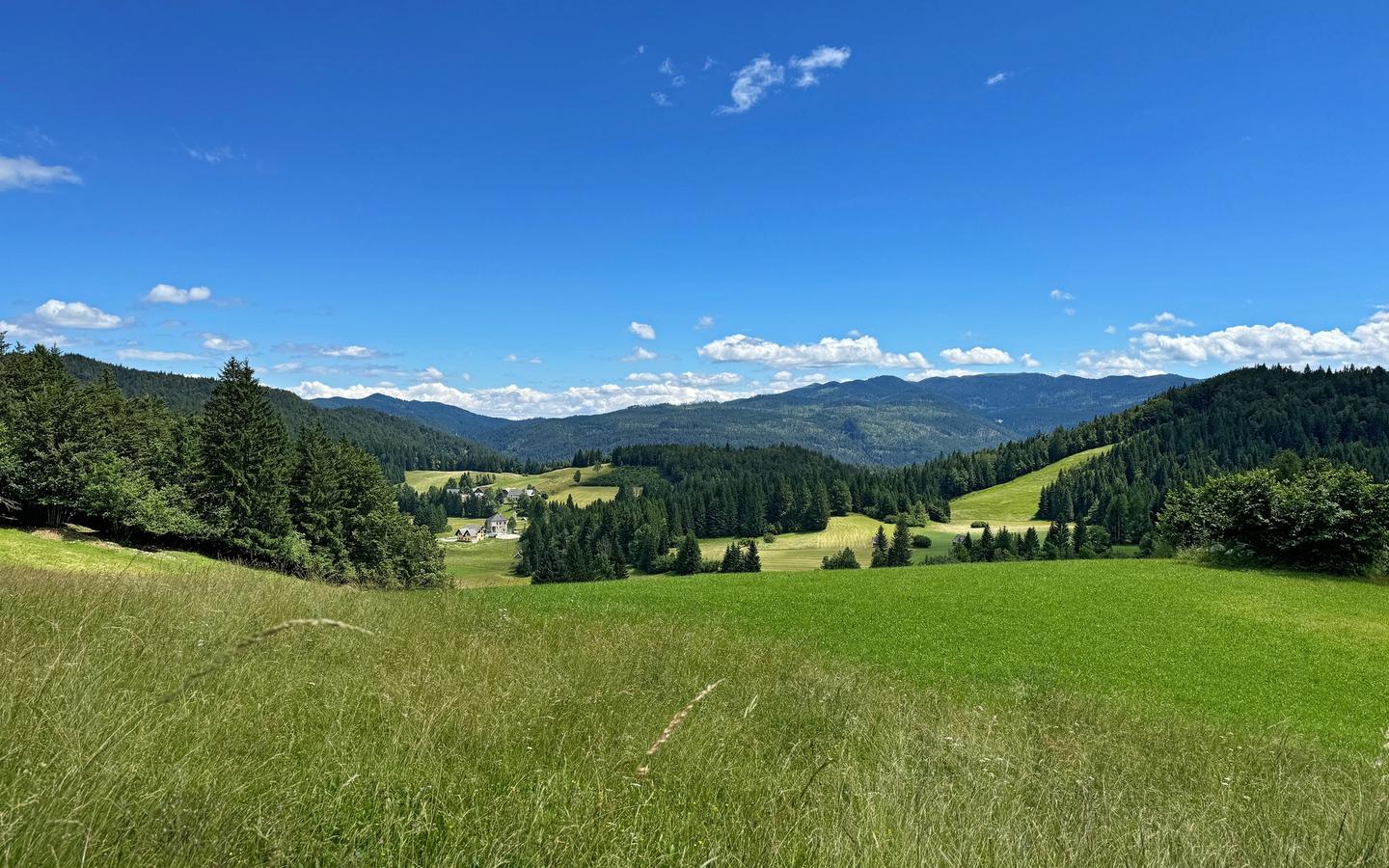 Pohorje Mountains
