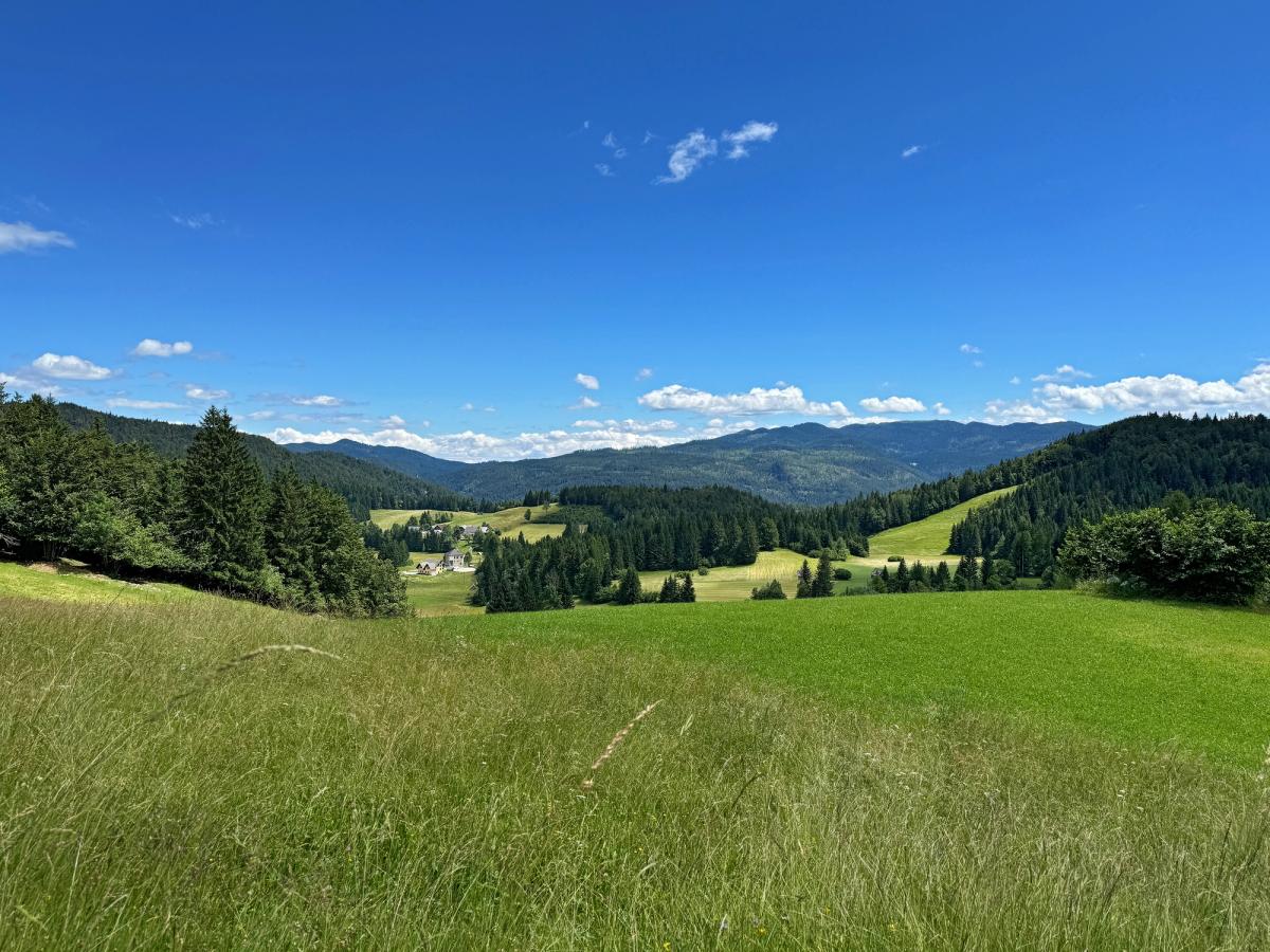 a panoramic view of the Pohorje Mountains, also known as the Pohorje Massif or the Pohorje Mountains, a mostly wooded mountain range in northeastern Slovenia, south of the Drava River. This area is part of the Central Alps and is notable for being the only mountain chain in Slovenia composed of silicate roc