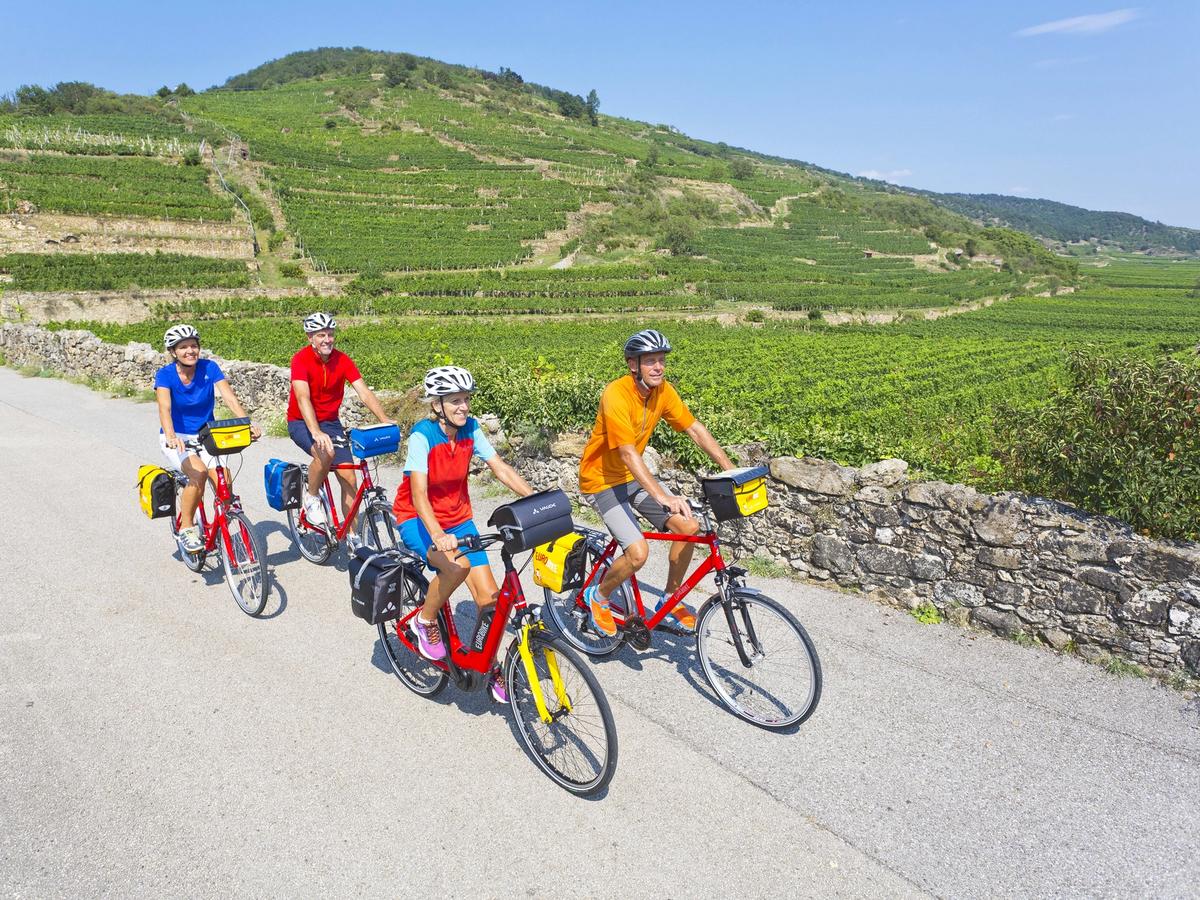 Group cycling holiday in Germany