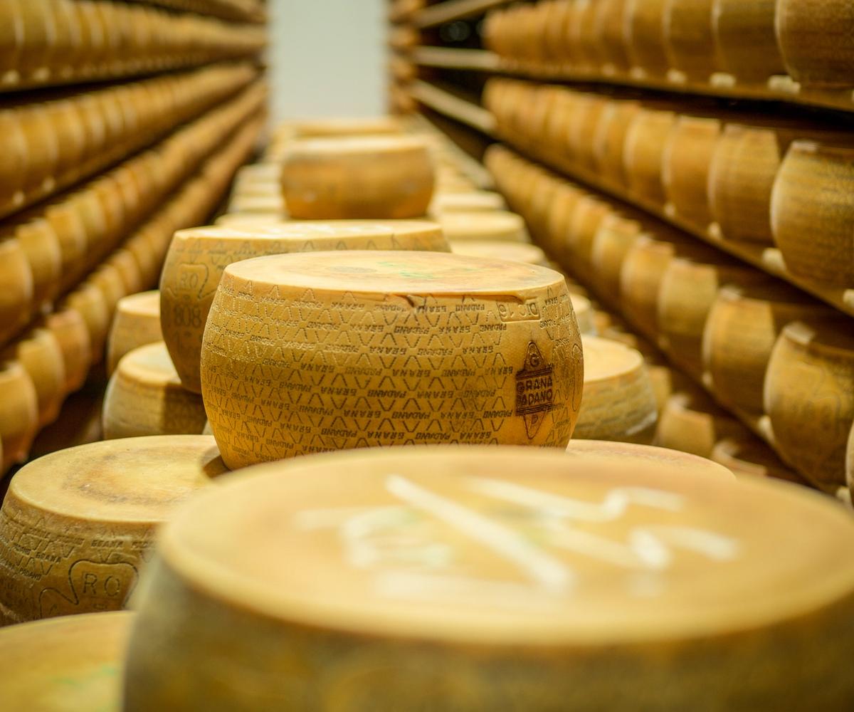 Venice to Mantua cycling holiday - Parmesan