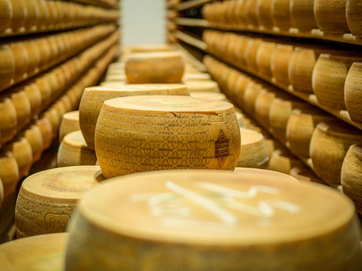 Venice to Mantua cycling holiday - Parmesan