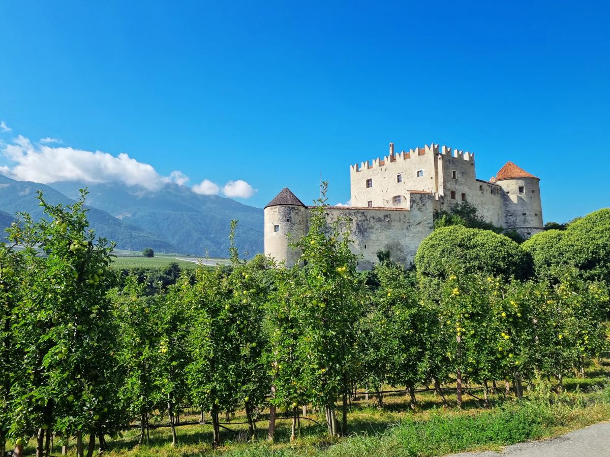 Castle on a family cycling holiday in Italy
