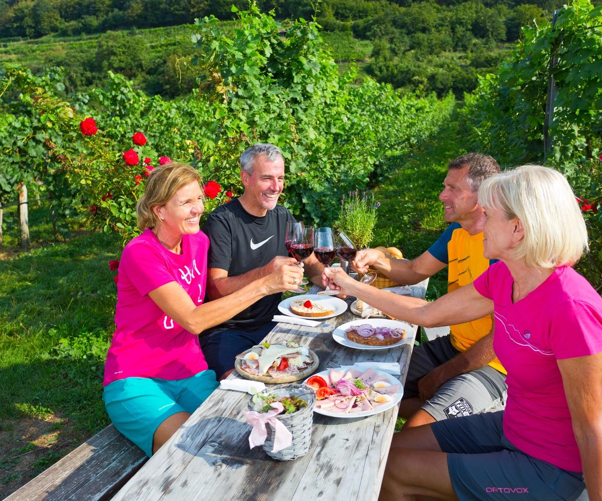 Lunch among the vines on the cycling holiday