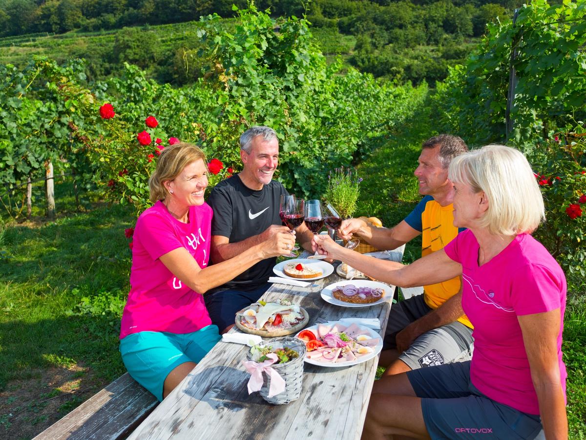 Lunch among the vines on the cycling holiday