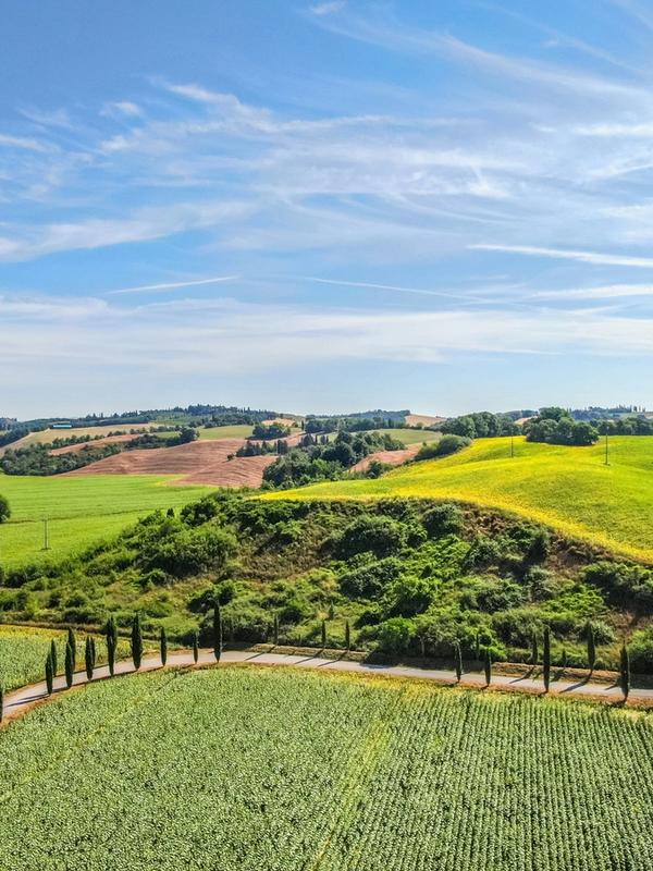 Tuscany's famous rolling hills