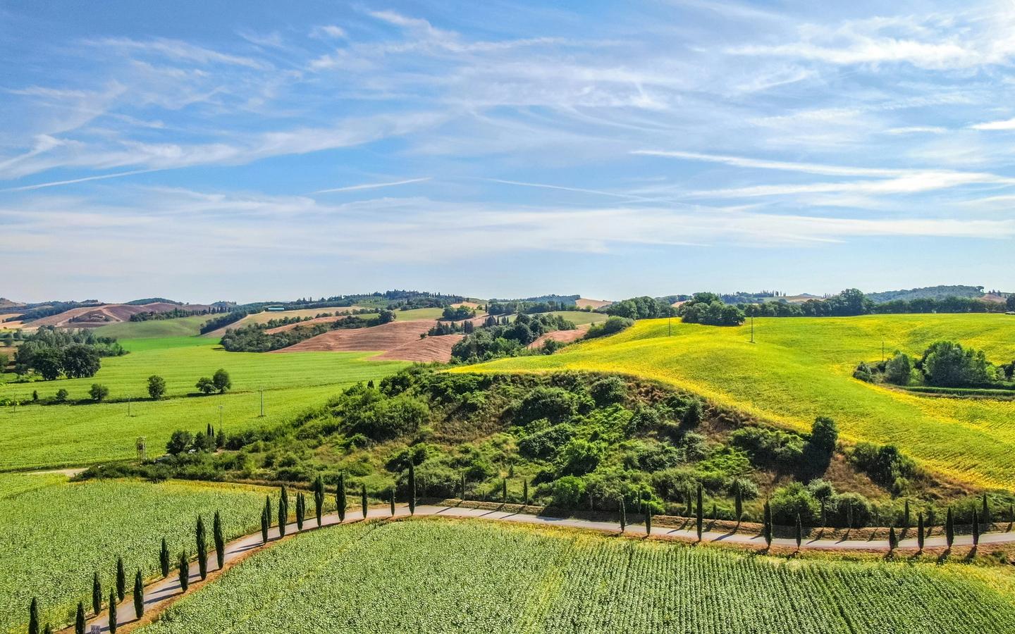 Tuscany's famous rolling hills