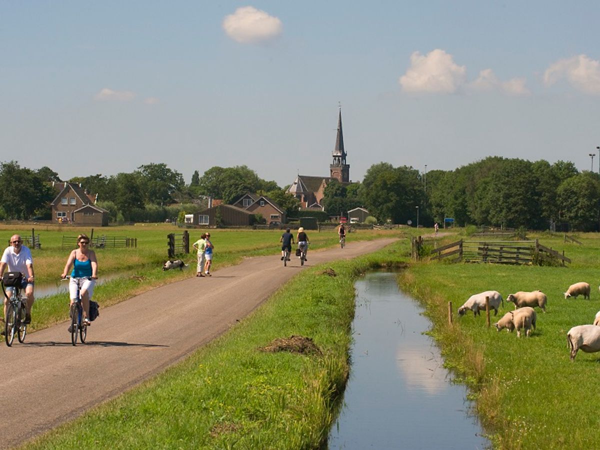 Friesland Guests biking