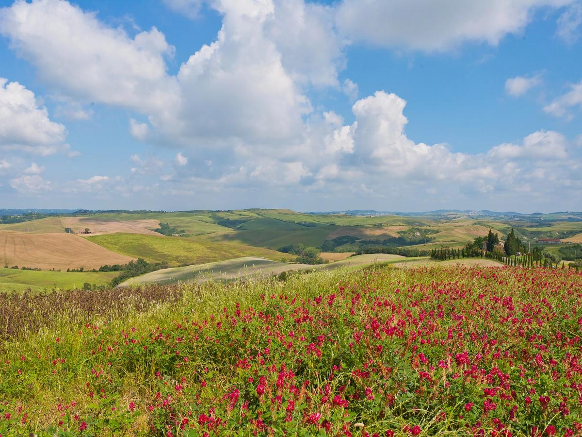 the Val d'Orcia, a UNESCO World Heritage site in Tuscany, Italy