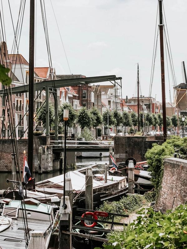 Netherlands Cycling Holiday Views