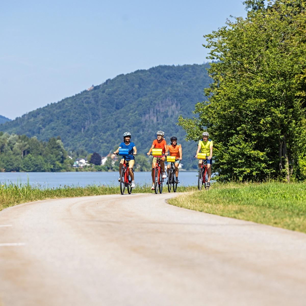 Cycling with friends along the River Danube