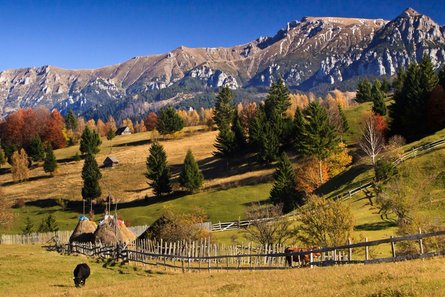 Romania