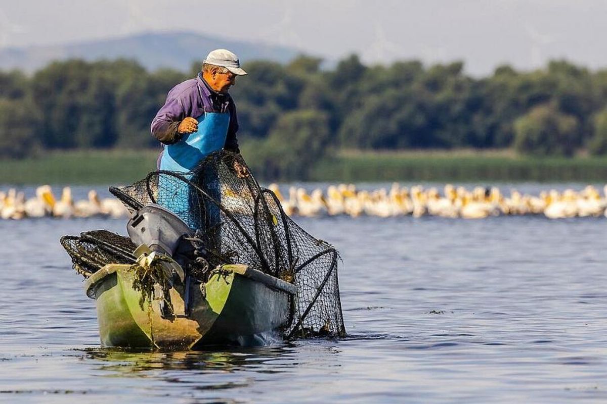 Fishing on the Danube Delta