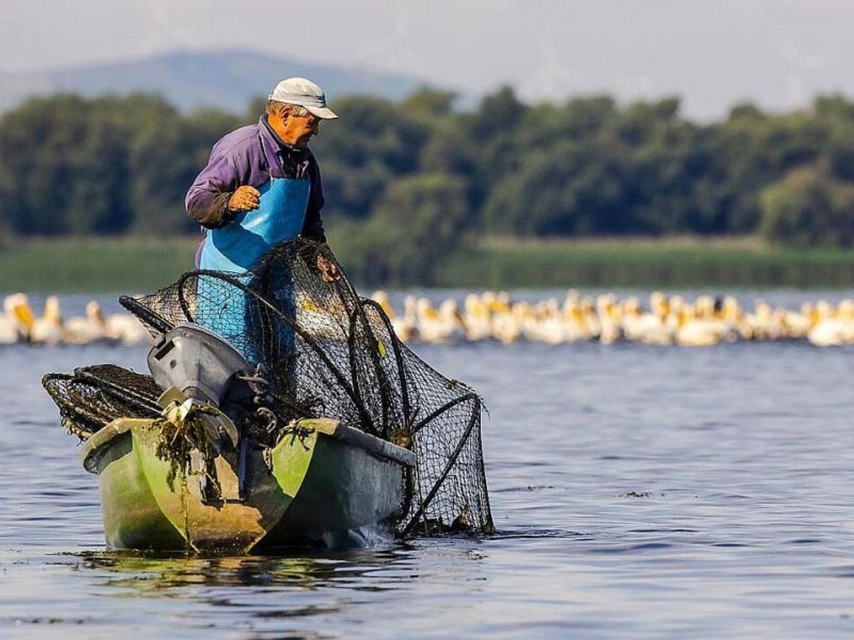 Fisherman on Danube Delta