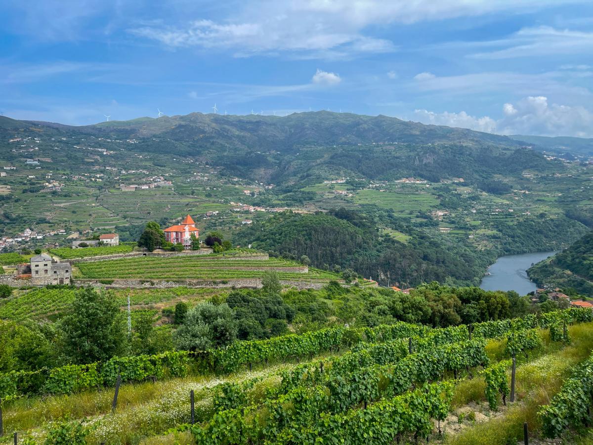 The Douro Wine Region Valley, up to Barca de Alva