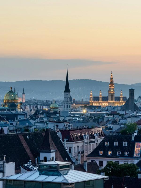 Vienna skyline 