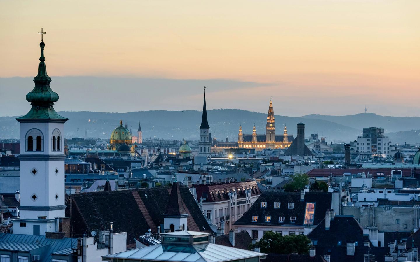 Vienna skyline 