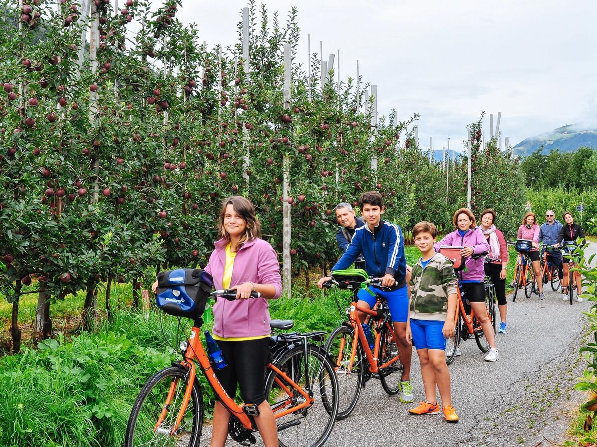 Peaceful family cycling in South Tyrol