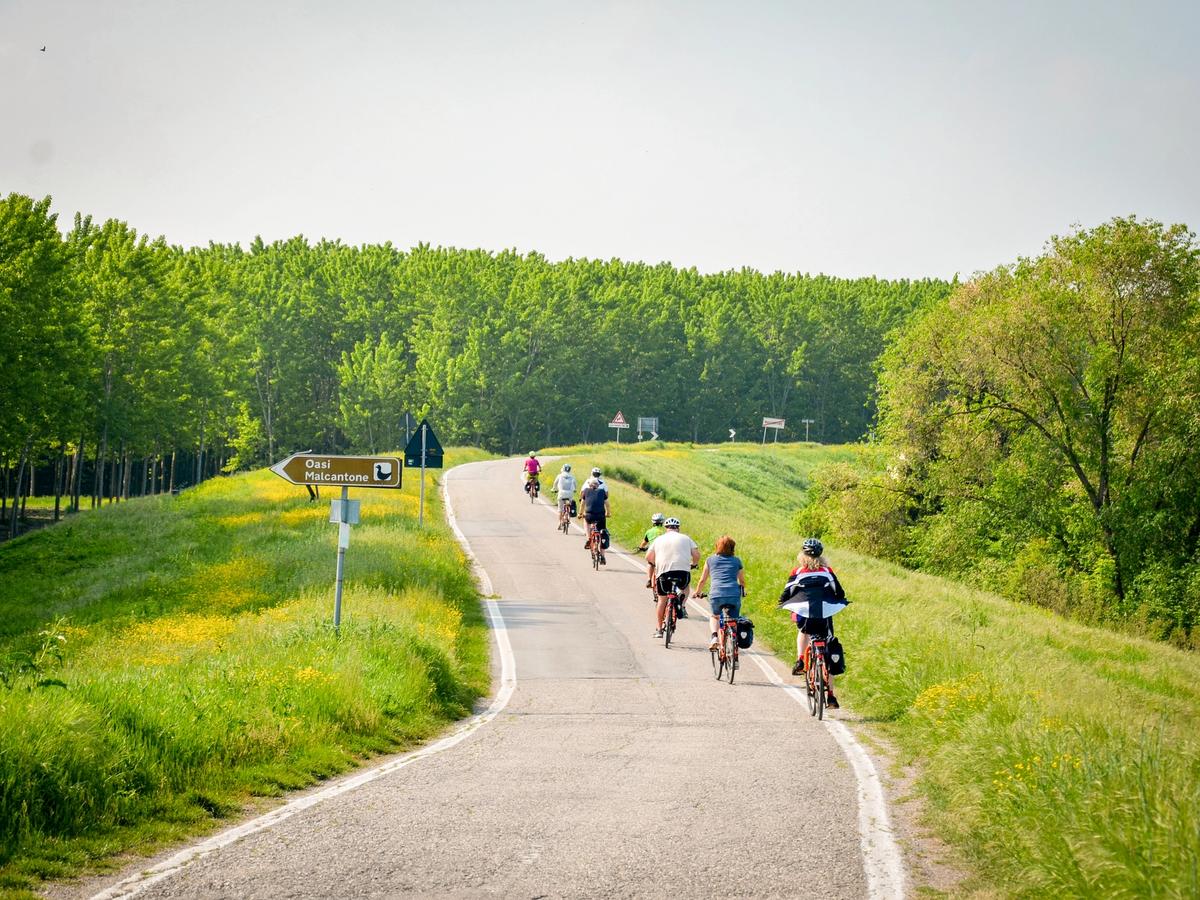 Cycling between Venice and Mantua - Italy