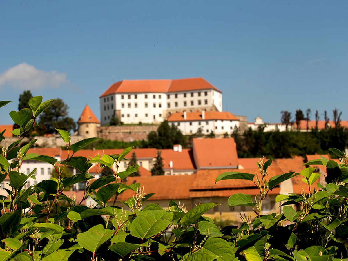 Ptuj Castle, which overlooks the town of Ptuj in Slovenia