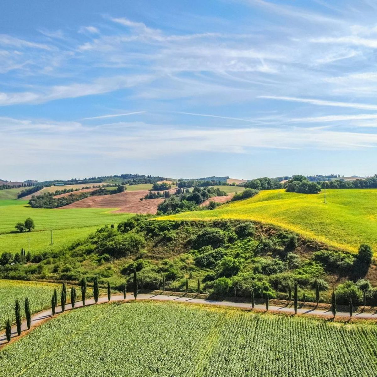 Views In Tuscany 
