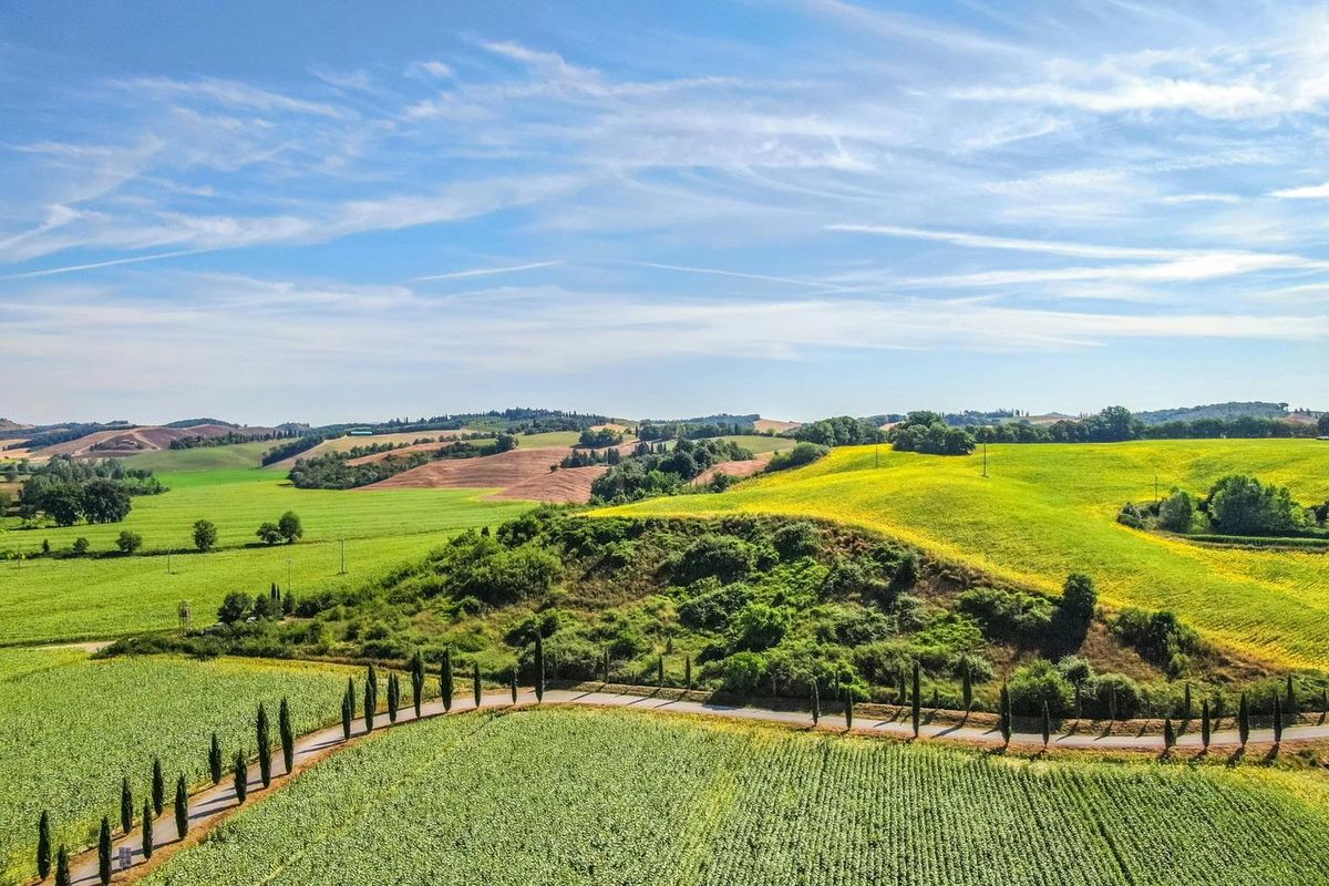 Views In Tuscany 