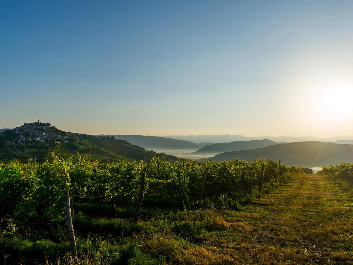 the picturesque medieval town of Motovun in Istria, Croatia, perched on a hilltop overlooking the Mirna River valley