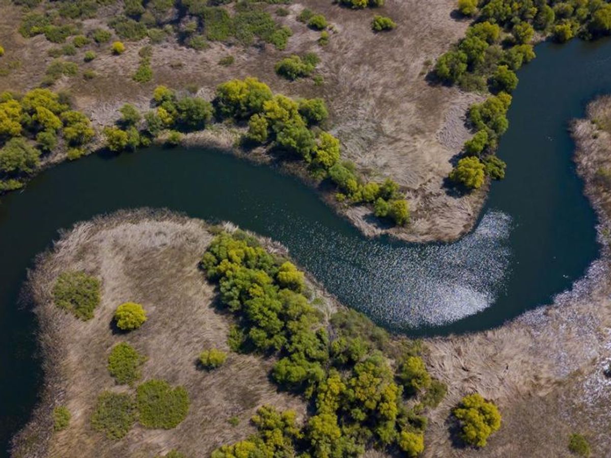 Meandering Danube