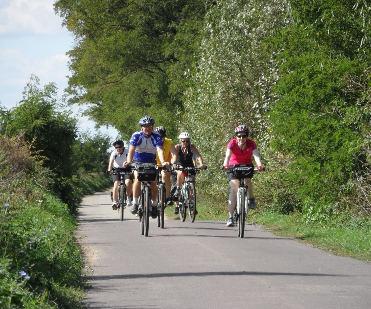 Cycling the Green Ways in Czech Republic