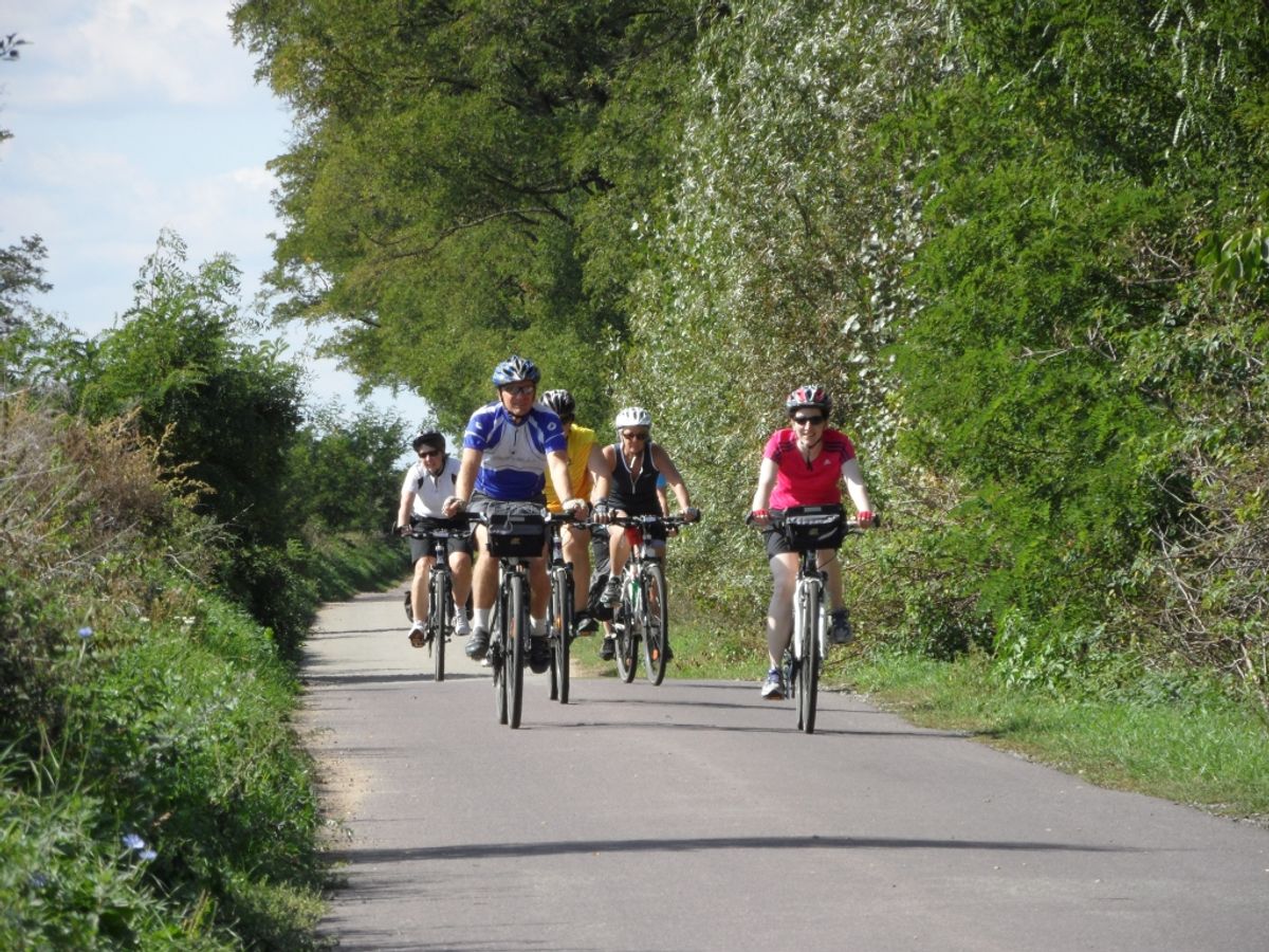Cycling the Green Ways in Czech Republic