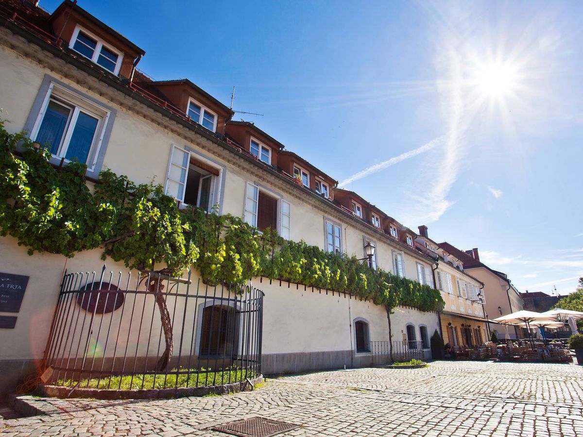 Old Vine House