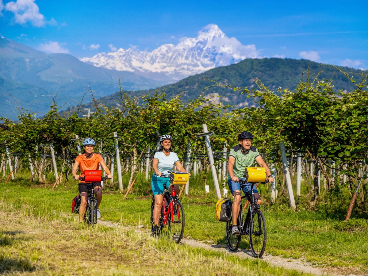 Saluzzo Monviso orchard cycling path