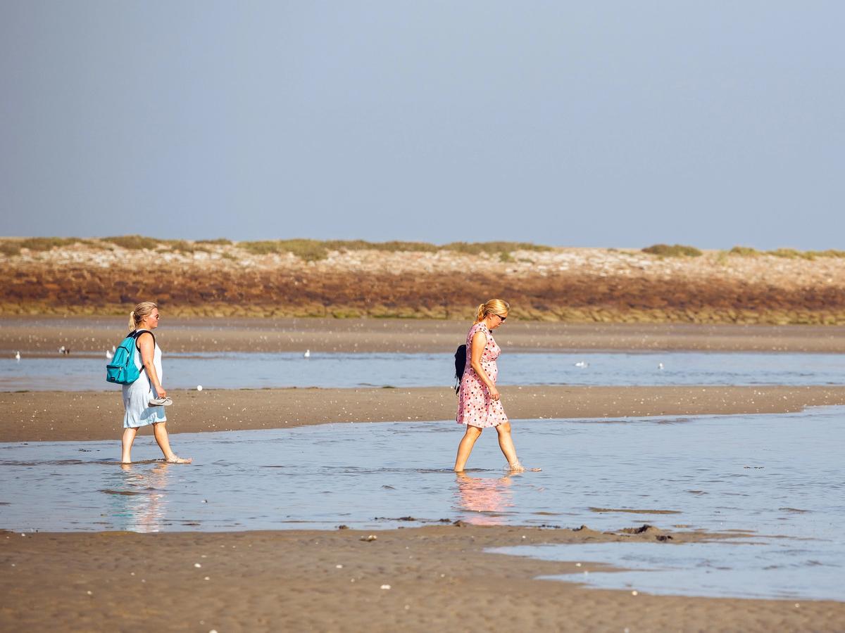 Terschelling beach