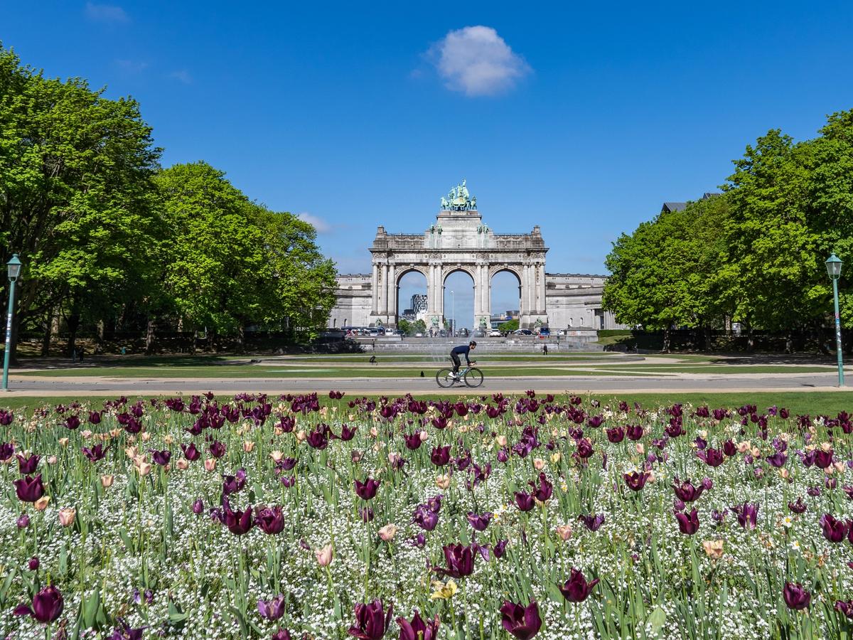  the Cinquantenaire Park in Brussels, Belgium. The park is a significant landmark with a rich history and impressive architecture