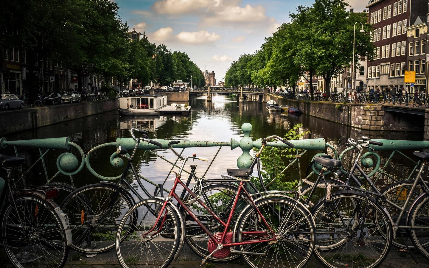 Amsterdam Bikes