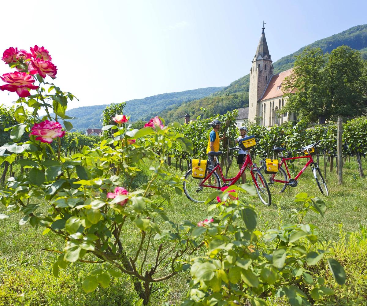 Cycling Holiday in Austria's Heartlands