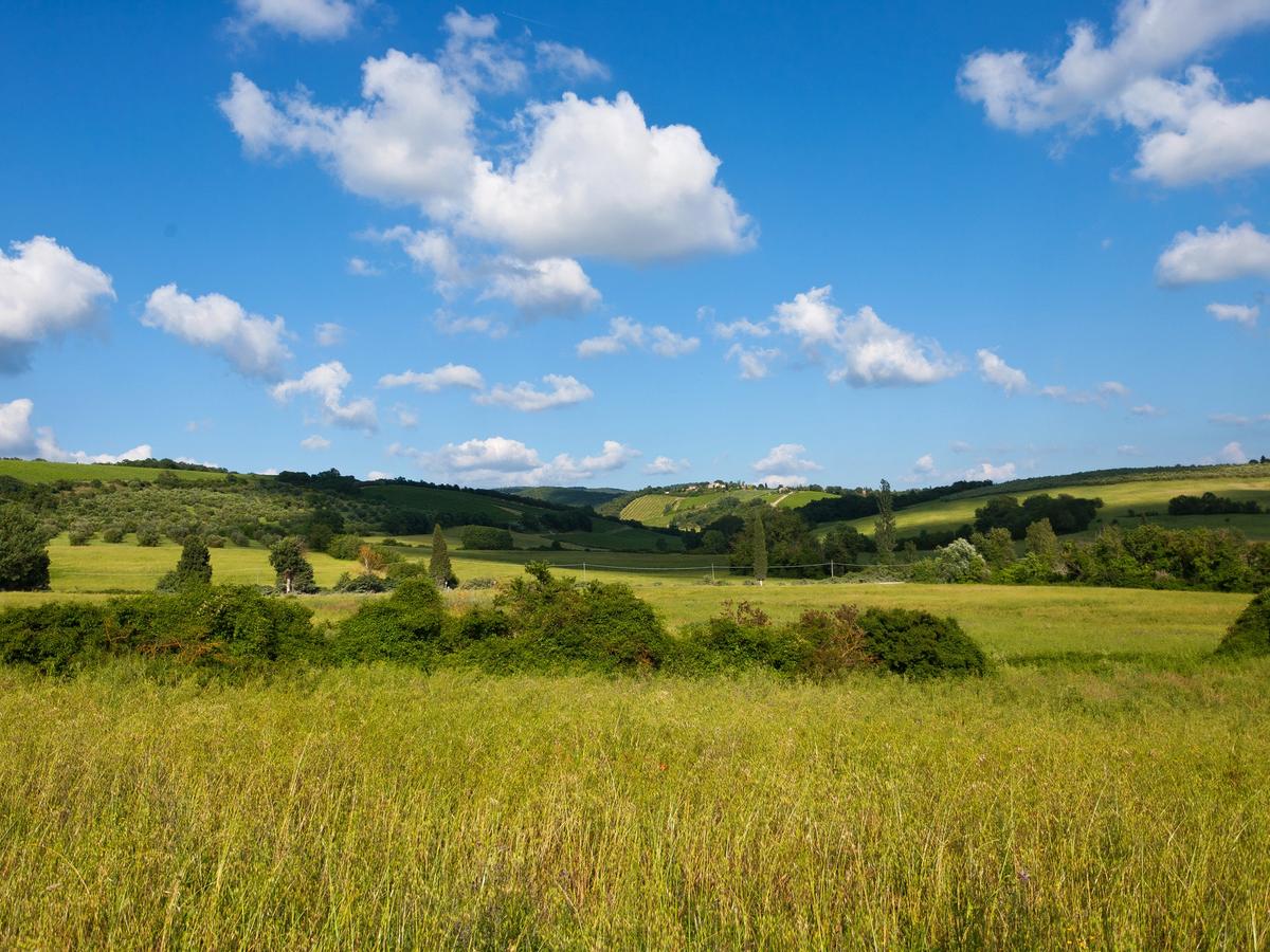 the Val d'Orcia, a region in Tuscany, Italy, renowned for its distinctive and picturesque landscape