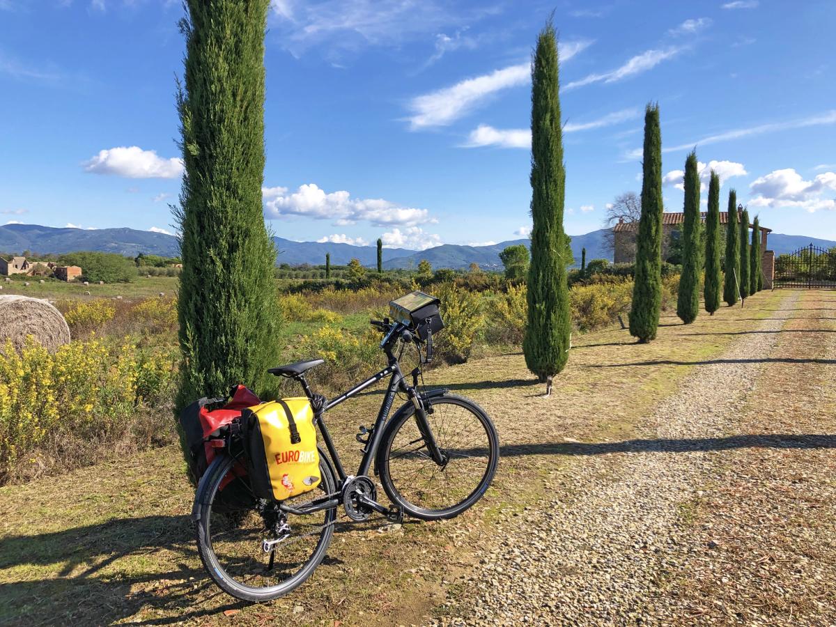 a bicycle parked next to a cypress tree in a scenic, rural setting, likely in Tuscany, Italy, a region known for its cycling routes and picturesque landscapes