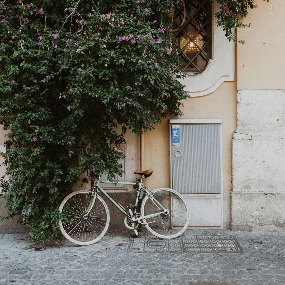 Bicycle in Italy
