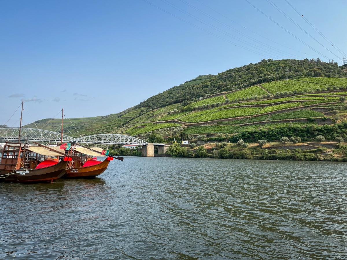 the Douro River in Portugal, known for its picturesque landscapes and wine production