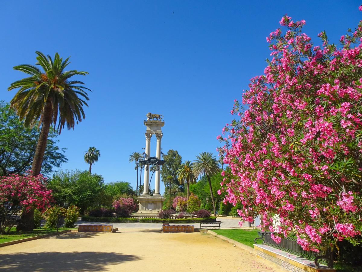 Seville in Andalusia