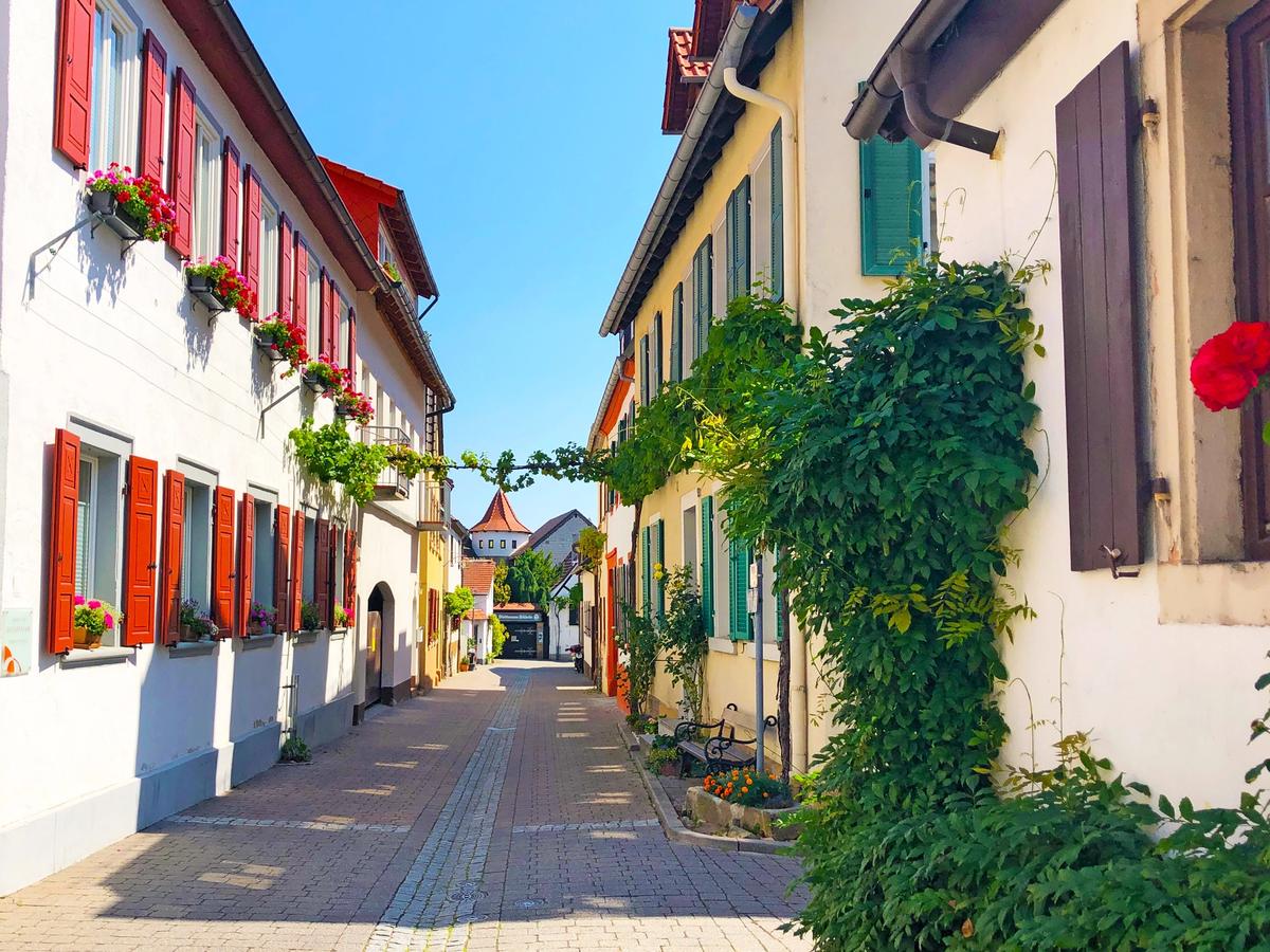 Wine tour houses on River Rhine