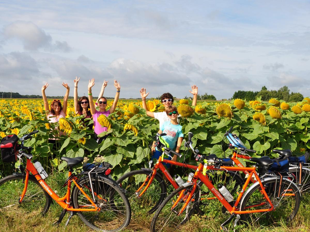Joyful rides with the family in Sunflower fields