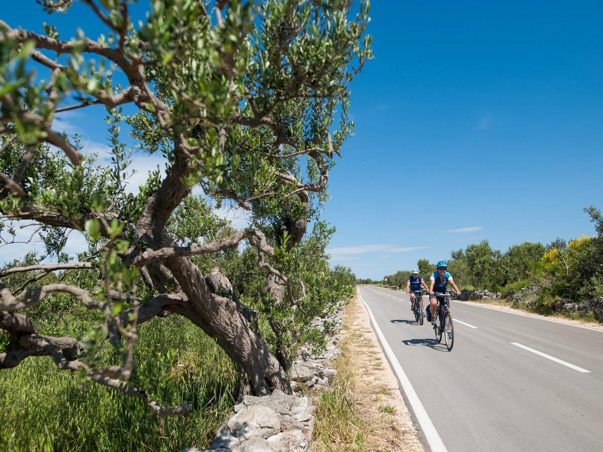 scenic coastal area in Croatia
